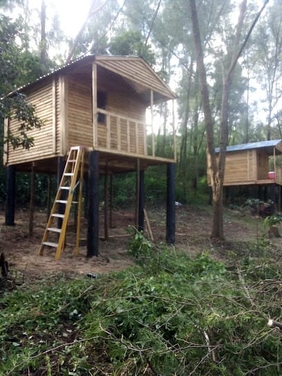 AF1QipN0UihTnJEPIXlBCjxTZ8hybgJm Lm1OarsYXWLw408 h544 k nodummy 1